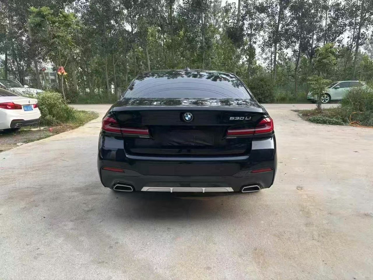 BMW 530Li Executive M Sport Rear View