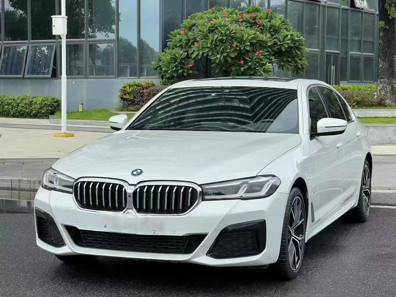 BMW 530Li Exclusive M Sports Package 2021 Side View