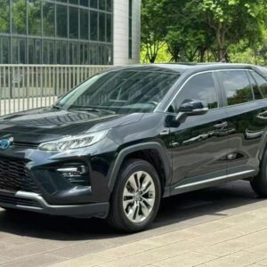 Toyota Wildlander (RAV4) Dual Engine E-CVT Deluxe Edition 2021