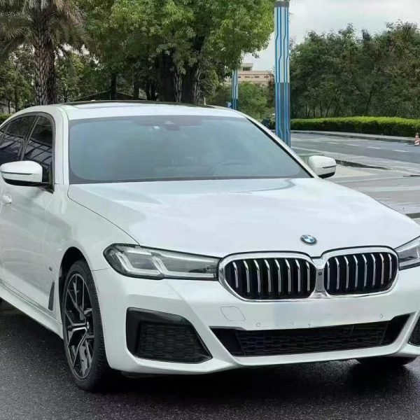 BMW 530Li Exclusive M Sports Package 2021